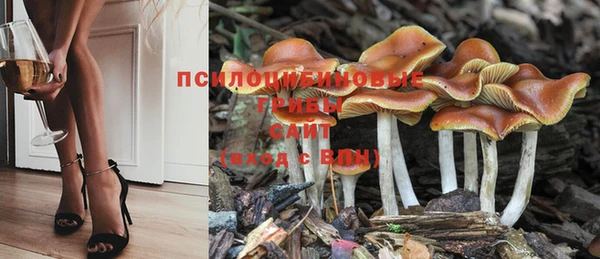 прущие крисы Иннополис