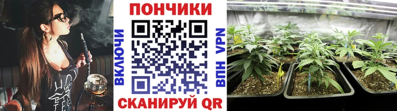 Конопля OG Kush  Купить  Богданович 